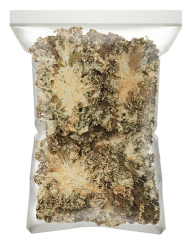 Kale Chips - Sea Salt & Vinegar 1lb