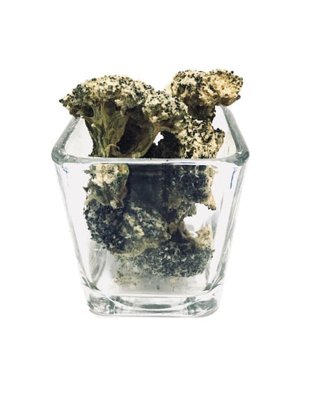 Broccoli Buds - Sea Salt & Vinegar 3 oz